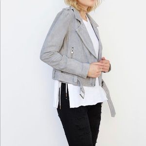 BlankNYC Cloud Grey Suede Moto Jacket M